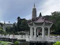 Nanputuo Temple’s Water Lily Garden: Where Buddha Meets Blooms (And Your Soul Finds Zen)"** 🌸🏯  