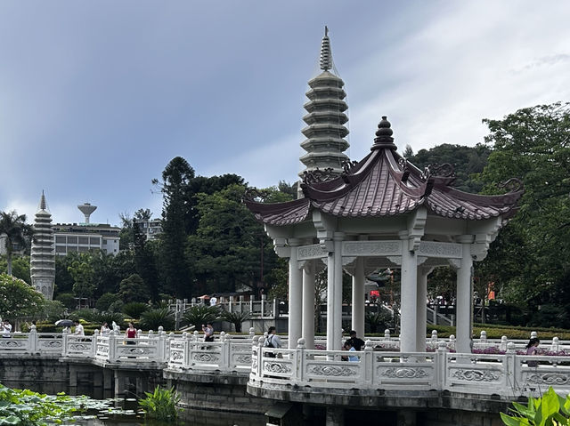 Nanputuo Temple’s Water Lily Garden: Where Buddha Meets Blooms (And Your Soul Finds Zen)"** 🌸🏯  