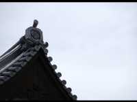【大洲城】復元された天守でタイムトラベル気分🏯🌿