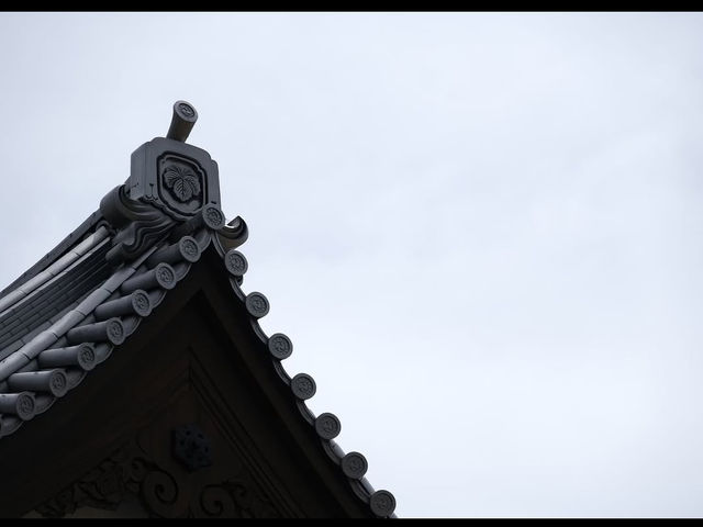 【大洲城】復元された天守でタイムトラベル気分🏯🌿
