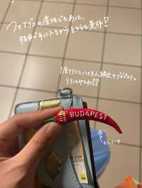 ハンガリーのブダペストってどんな街❓🇭🇺