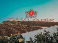 Sipping History with a View – My Visit to Taylor’s Port in Porto