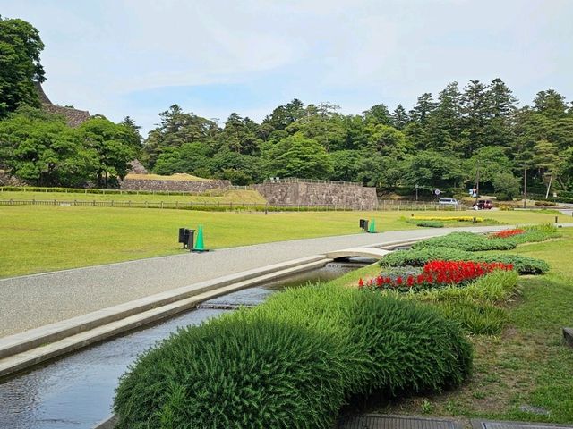 金澤漫步〔しいのき緑地せせらぎ〕光合作用散策 ☀️