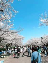 【大阪】万博記念公園