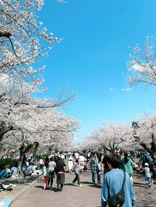 【大阪】万博記念公園