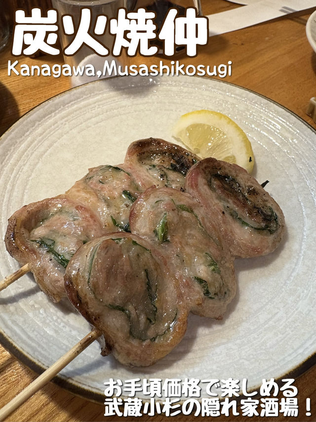 【神奈川🎡】武蔵小杉の激安隠れ家酒場🍻