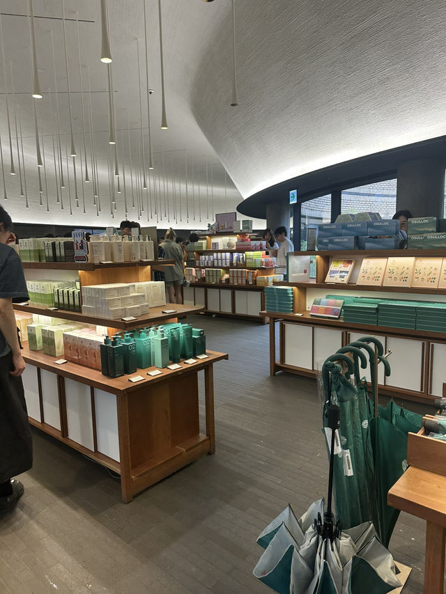 제주 여행 필수 코스! 오설록 티뮤지엄 🍵💚