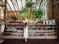 🌿☕✨Baboon Phuket