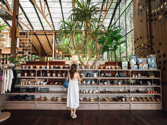 🌿☕✨Baboon Phuket