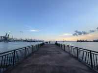 🌳 Family Fun at West Coast Park