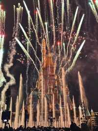 Childhood and Adults Dream– Shanghai Disneyland!
