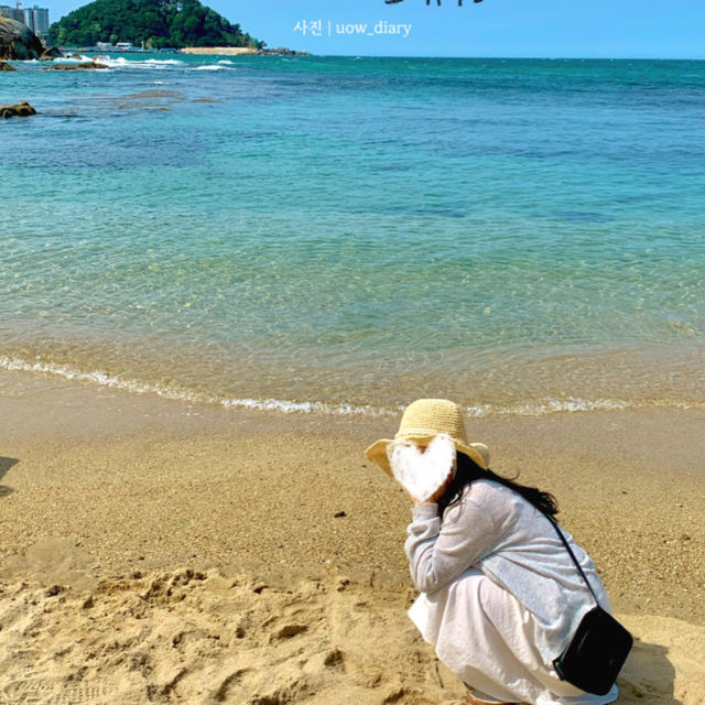 여름엔 뭐다? 역시 동해바다지 🌊🐳💙