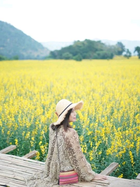 ทุ่งปอเทืองไร่ธรรมชัย