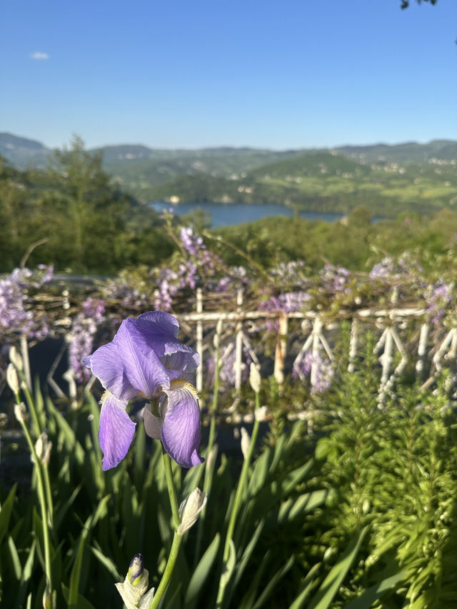 風景如畫嘅意大利Suviana Lake🇮🇹