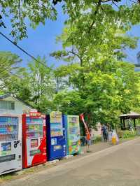 삿포로 3일차! 감성전차타고 여유로운 오전 일정🌻🚟