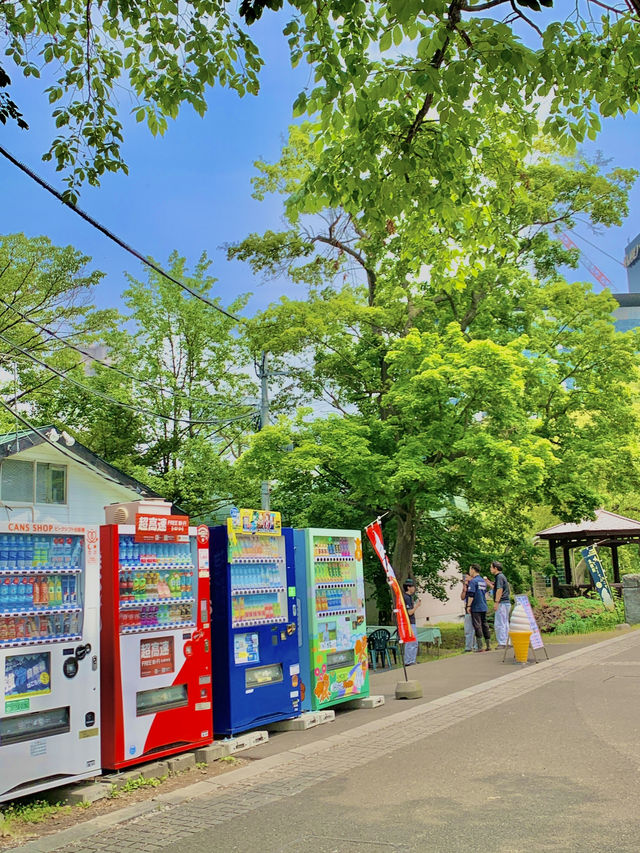 삿포로 3일차! 감성전차타고 여유로운 오전 일정🌻🚟