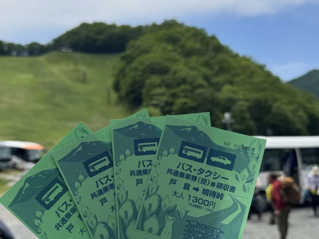 Hiking in Oze: Witnessing the Mizubasho in Full Bloom! 🌸🌲