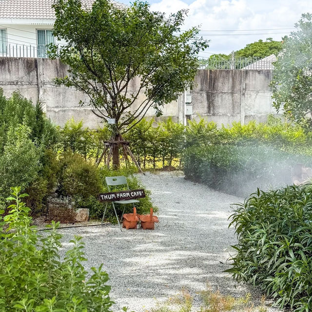 Thum Farm Cafe (ธรรมฟาร์ม)