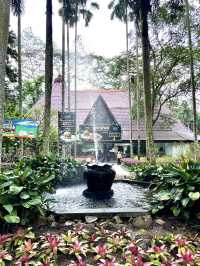 The Wild Restaurant – A Rainforest-Inspired Fast Food Haven 