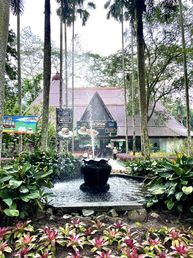 The Wild Restaurant – A Rainforest-Inspired Fast Food Haven 