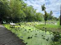 🌾 Meena Rice Based Cuisine – ร้านข้าว