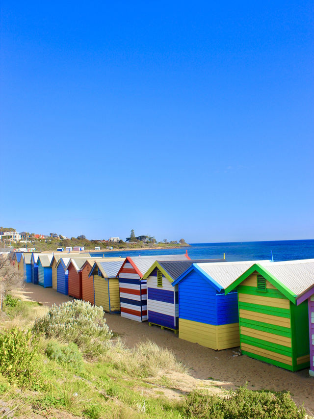 Stripes, Sand & Skyline: A Postcard Stroll at Brighton Beach