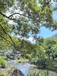 內洞-蝴蝶公園