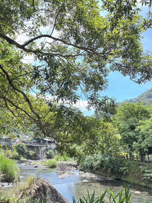 內洞-蝴蝶公園