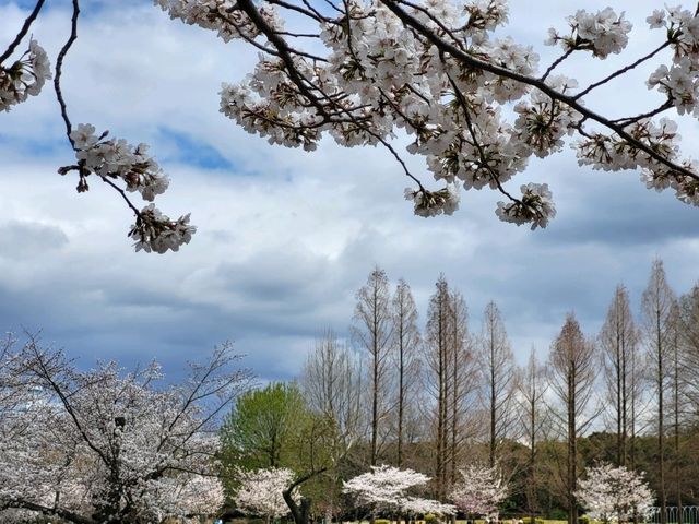 大阪市郊的親子友善景點/萬博紀念公園