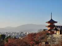 四季巡禮清水寺：京都名剎之美與儀式之心