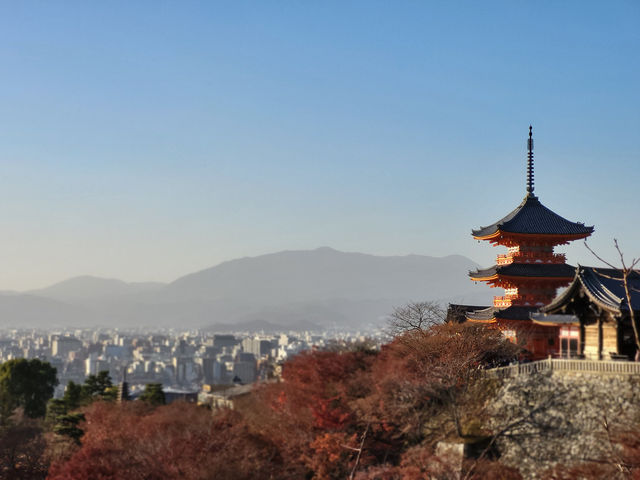 四季巡禮清水寺：京都名剎之美與儀式之心