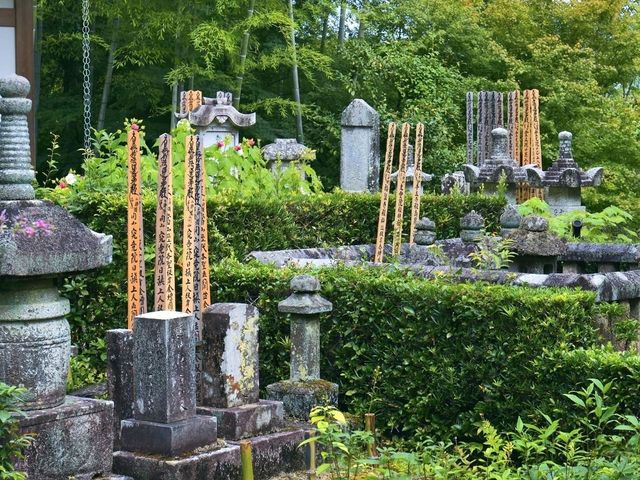 Kyoto’s Quiet Corner: Jojakko-ji Reflections