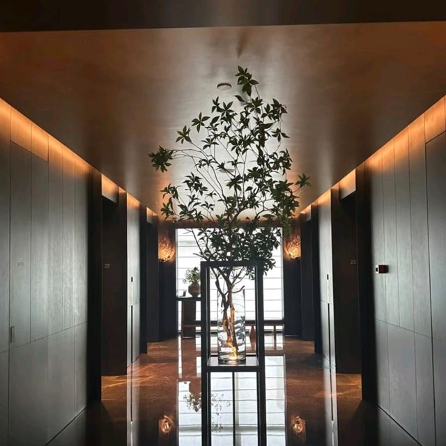 這裡賣的不是睡眠，是24小時沉浸式賽博片場——當電梯降回地面那刻，幻覺碎得比深圳房價還快～