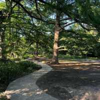 Blue Hole Regional Park – Wimberley