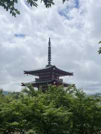 🗻 Arakurayama Sengen Park – Japan's Most Iconic View 🌸⛩️