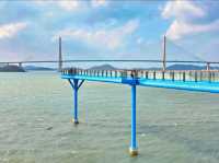 Mokpo Skywalk: Walking on Air Above Korea’s Southern Coast"** 🌊🌉   