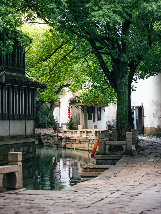Tongli Ancient Town 🏘️ 