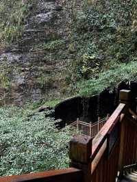 Dare to Look Down: The World’s Most Daring Bridge