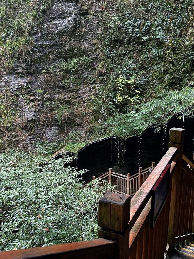 Dare to Look Down: The World’s Most Daring Bridge