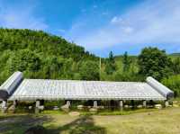 Cailun Bamboo Sea