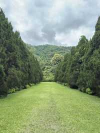 รีวิวCypress Lanes สวนสวยกลางหุบเขา เชียงไหม่