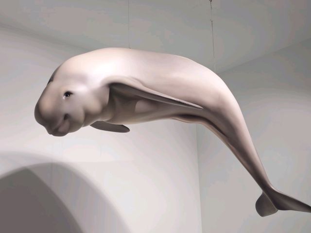 인천 바다박물관