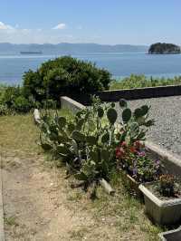 tranquil beauty of naoshima