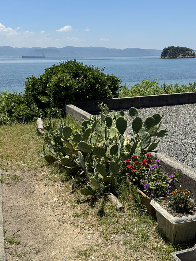 tranquil beauty of naoshima