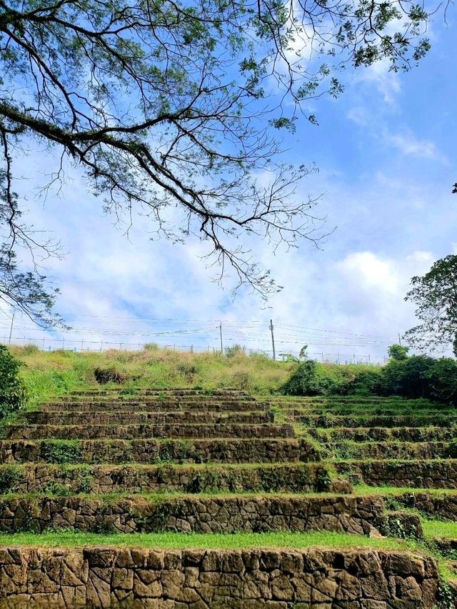 La Mesa Ecopark: A Green Retreat in Metro Manila