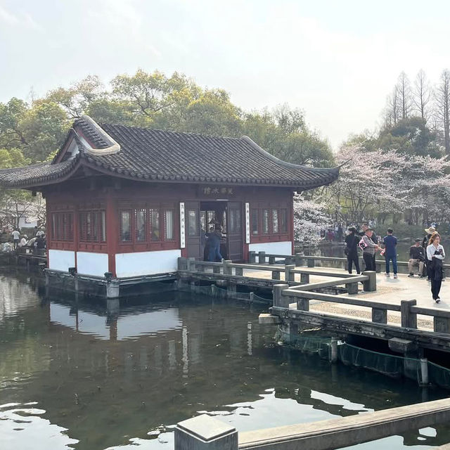 🌅 West Lake (西湖): A Grand Stage of Nature and Culture
