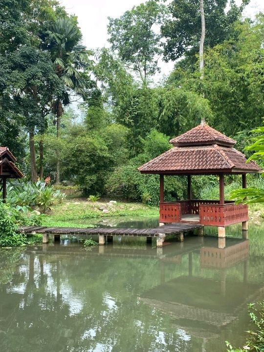 🌿 Wadi Amna, Janda Baik: A Tranquil Riverside Escape 🏡