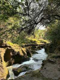 Devi's Fall 