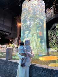 Weird & Wonderful — Rare Sea Creatures at Aquaria KLCC 🐟🧪