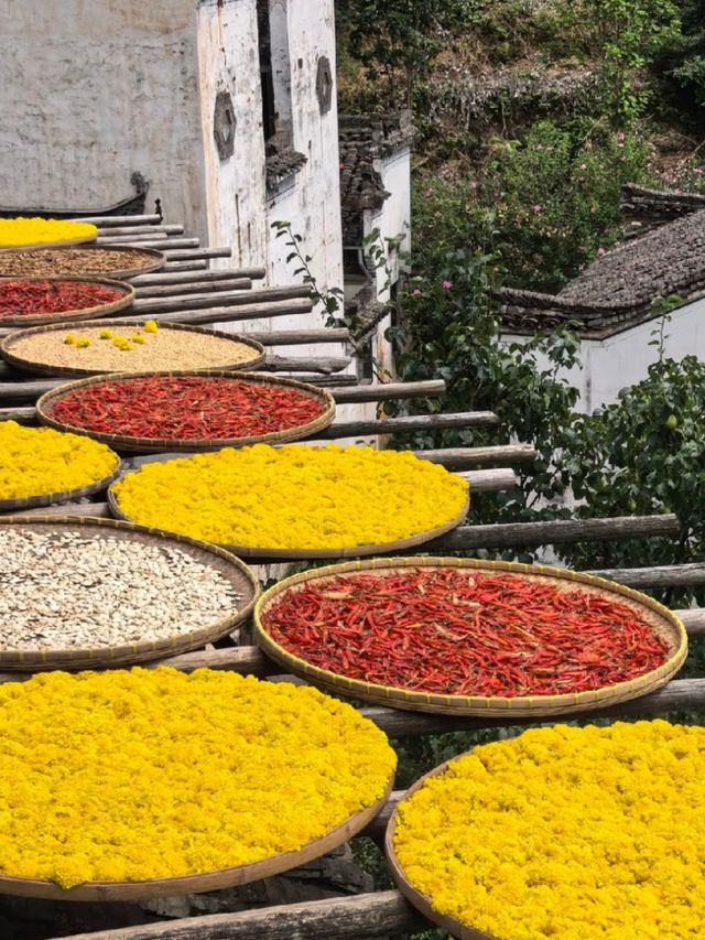 Wuyuan: The Most Beautiful Village Under Heaven